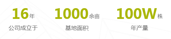 辽宁绿畦农业有限公司